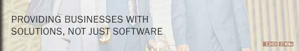 Providing businesses with solutions, not just software